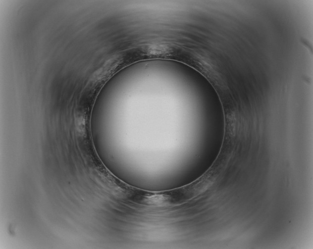 X0000102870269200808251248