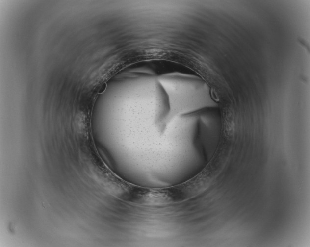 X0000102870270200808251248