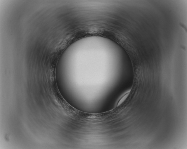 X0000102870272200808251248