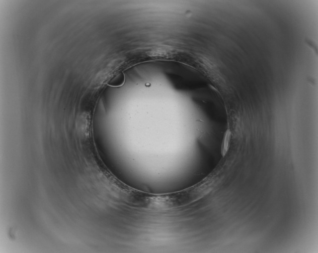 X0000102870273200808251248