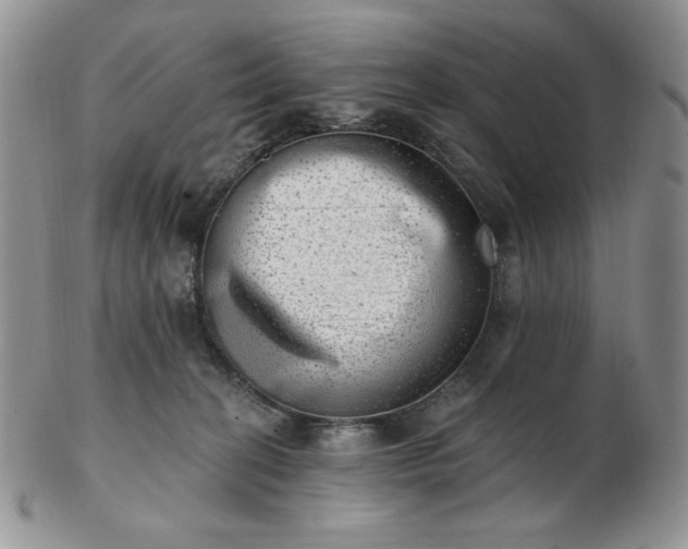 X0000102870274200808251248