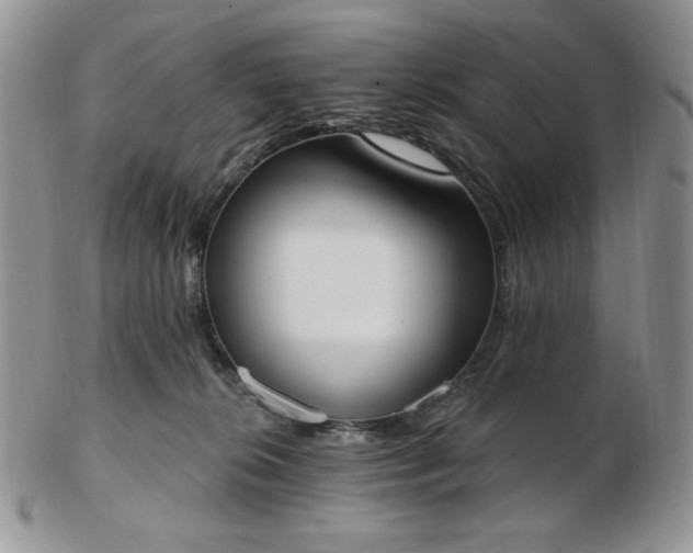 X0000102870276200808251248