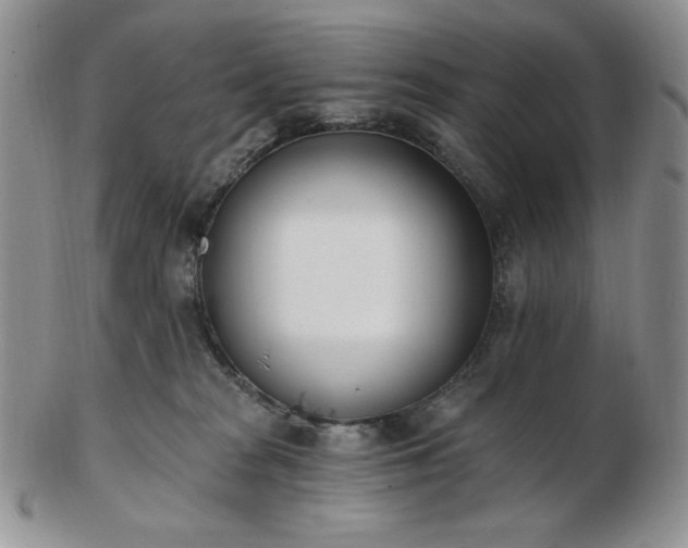 X0000102870277200808251248