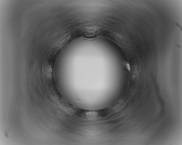 X0000102870279200808251248