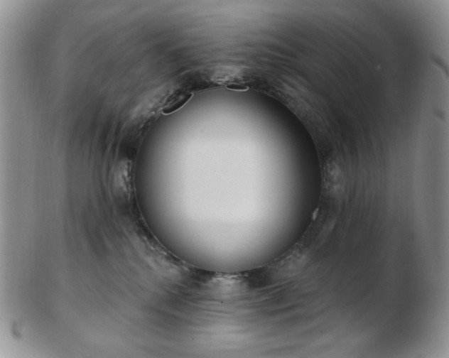 X0000102870280200808251248