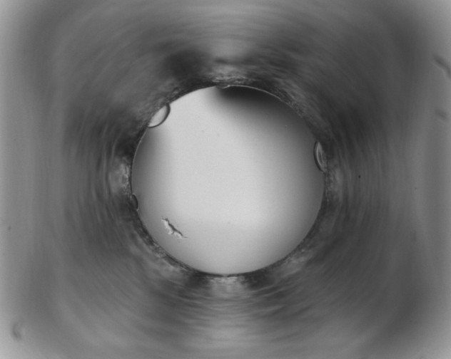 X0000102870281200808251248