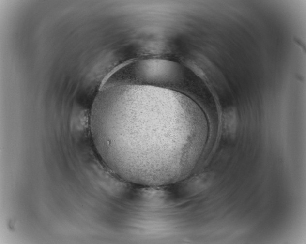 X0000102870284200808251248