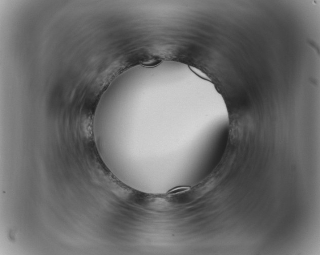 X0000102870285200808251248