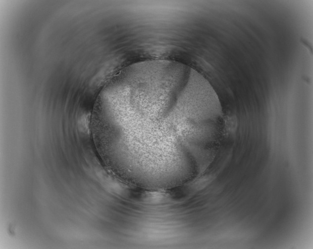 X0000102870286200808251248