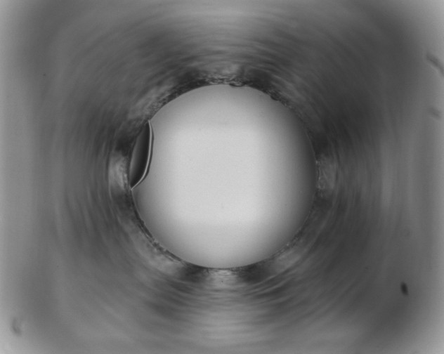 X0000102870287200808251248