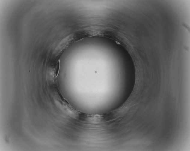 X0000102870288200808251248