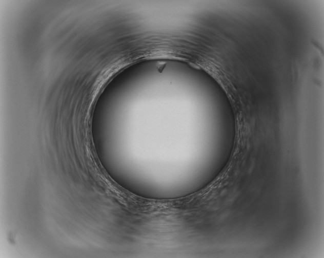 X0000102870289200808251248