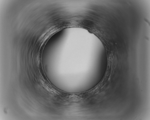 X0000102870290200808251248