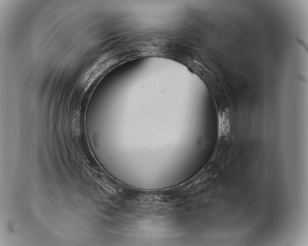 X0000102870291200808251248