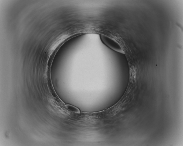 X0000102870292200808251248