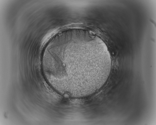 X0000102870293200808251248