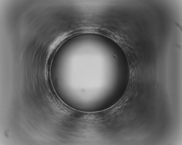 X0000102870294200808251248