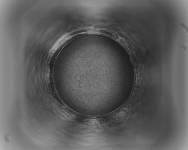 X0000102870295200808251247