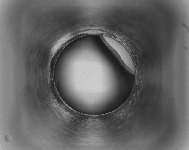 X0000102870296200808251247