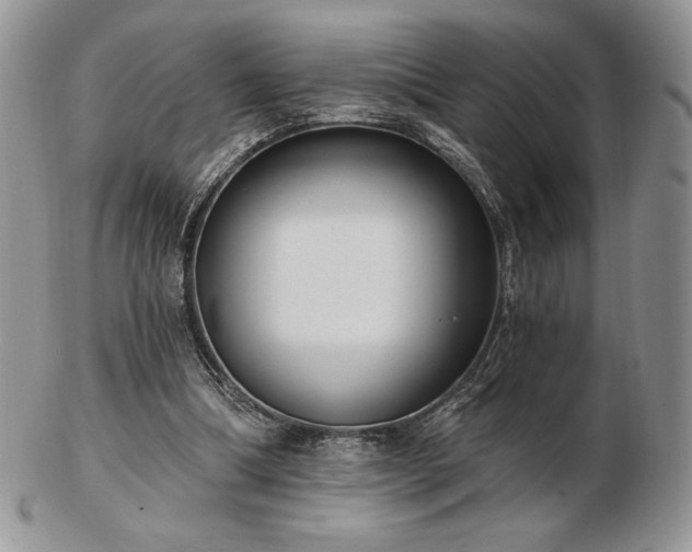 X0000102870298200808251247