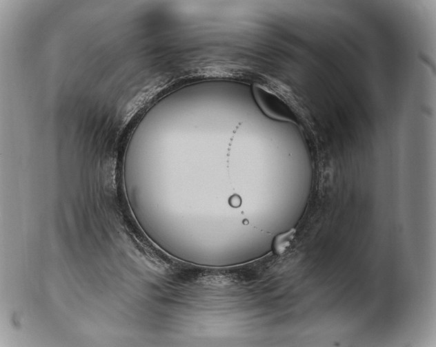 X0000102870299200808251247