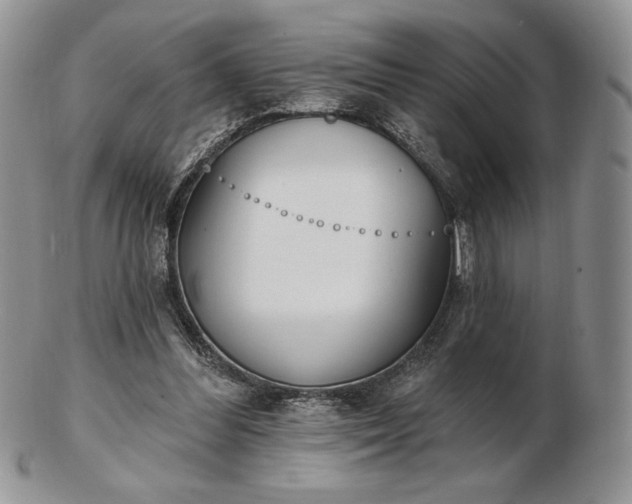 X0000102870300200808251247