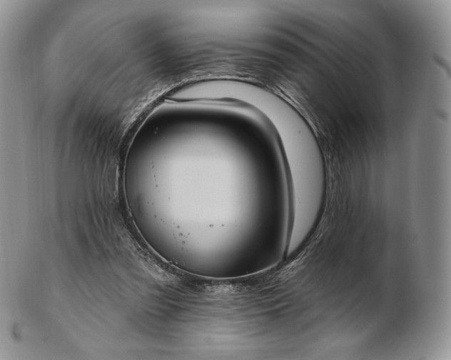 X0000102870301200808251247