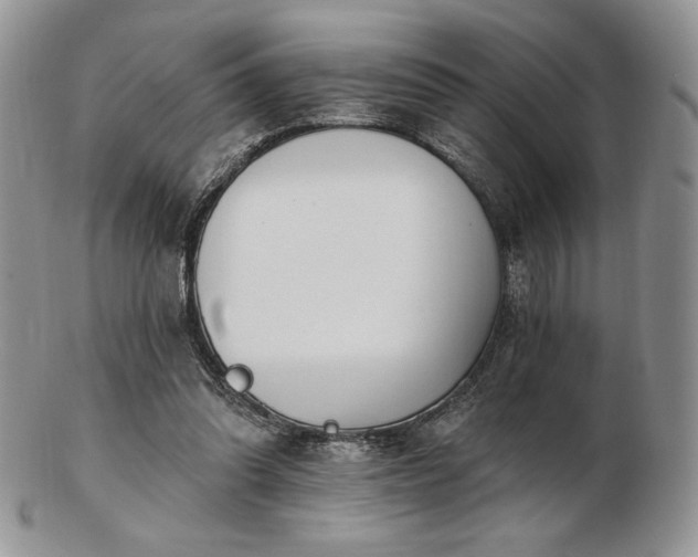 X0000102870302200808251247