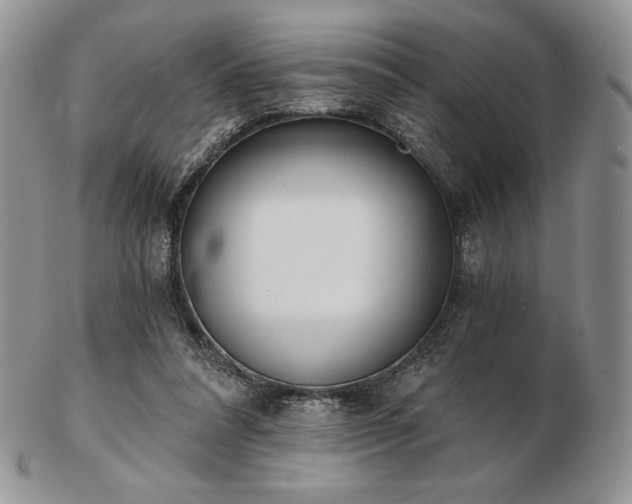 X0000102870304200808251247