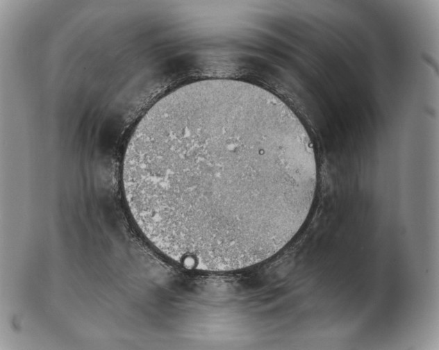 X0000102870305200808251247