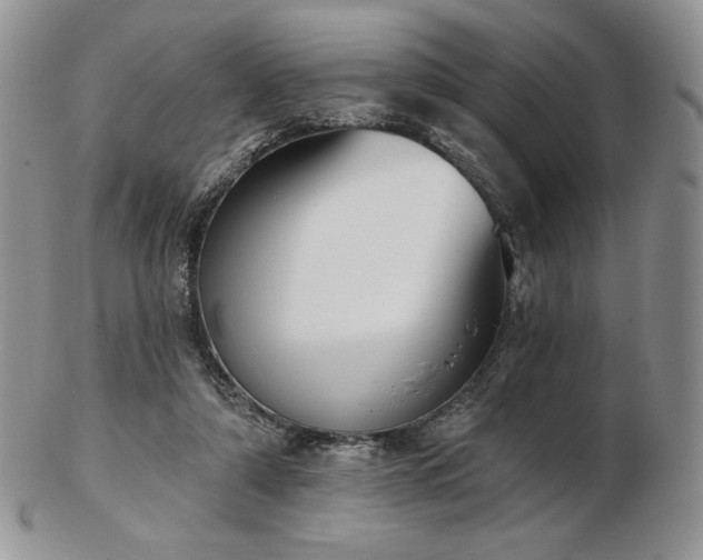 X0000102870306200808251247