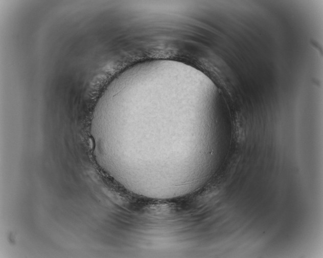 X0000102870307200808251247