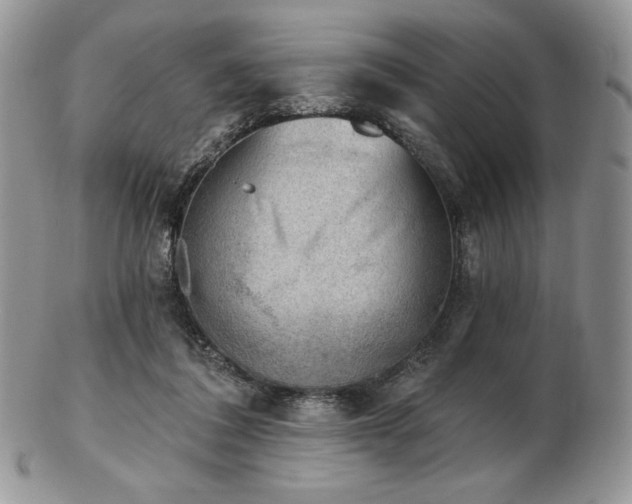 X0000102870308200808251247