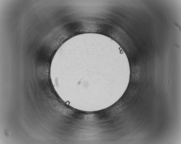 X0000102870309200808251247