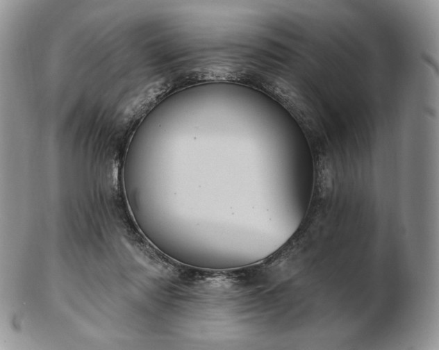 X0000102870310200808251247