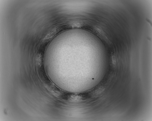 X0000102870311200808251247