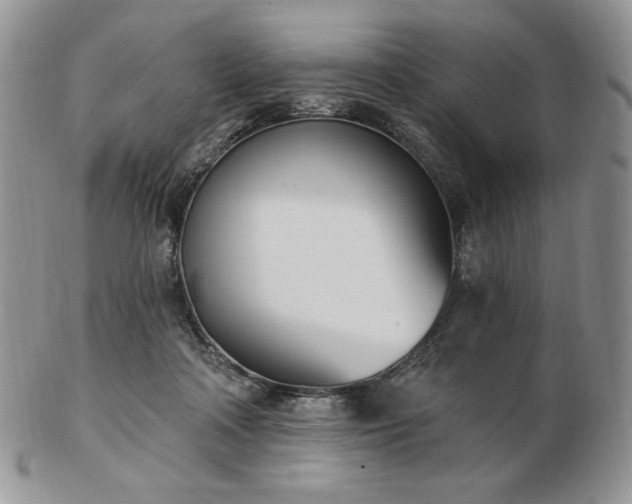 X0000102870314200808251247