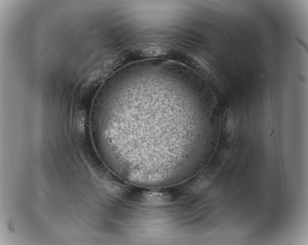 X0000102870315200808251247