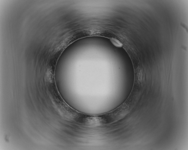 X0000102870316200808251247