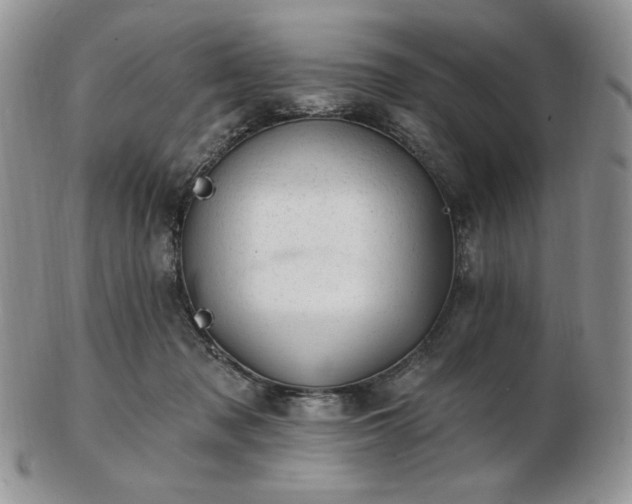 X0000102870317200808251247