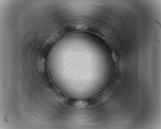 X0000102870319200808251247