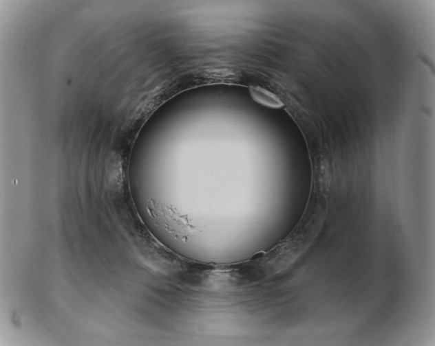 X0000102870320200808251247