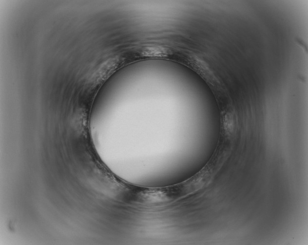 X0000102870322200808251247