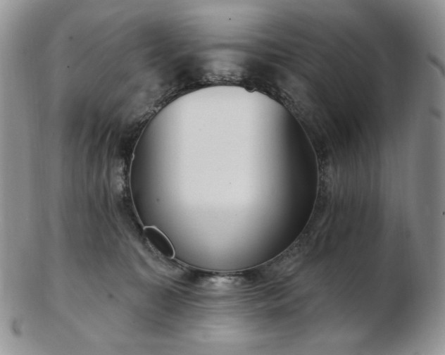 X0000102870323200808251247