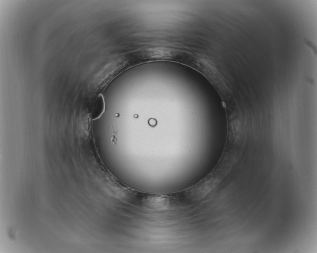 X0000102870325200808251247