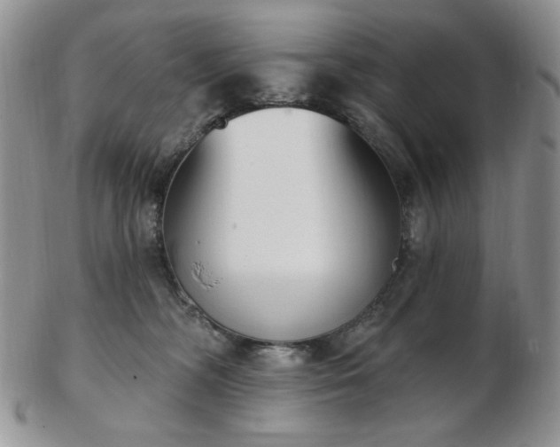 X0000102870326200808251247