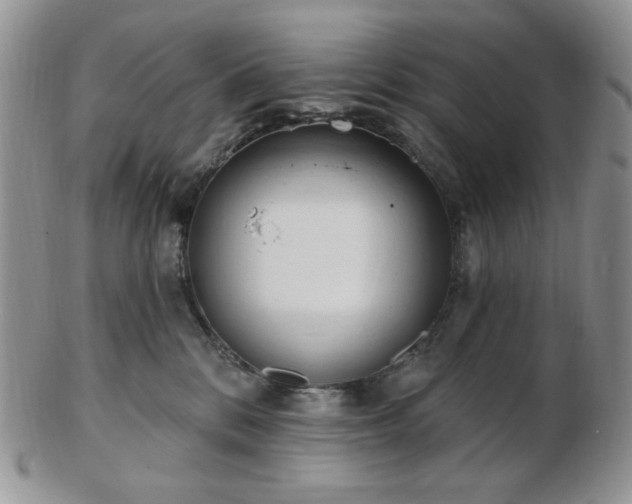 X0000102870328200808251247