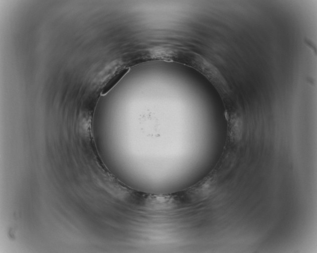 X0000102870329200808251247