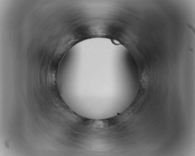 X0000102870330200808251247