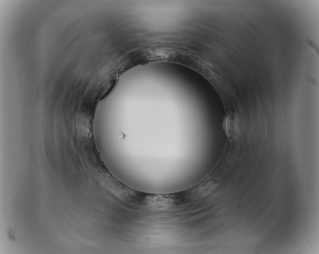 X0000102870331200808251247